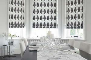 Roller Shades - shutters, plantation shutters, shutters orlando, custom shutters, window treatments, interior shutters, wood shutters, blinds, orlando